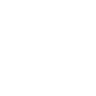 MERIT01