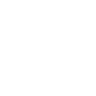 MERIT04