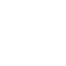 MERIT05